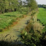 0309F 75 vor Ochsenwerder Hamburg